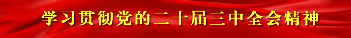 學習貫徹黨的二十屆三中全會精神